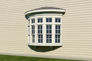 Windows (Count)